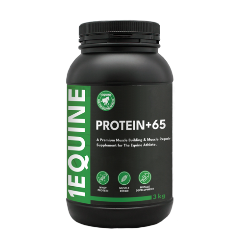 Protein+65 3kg