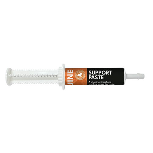 Support Paste