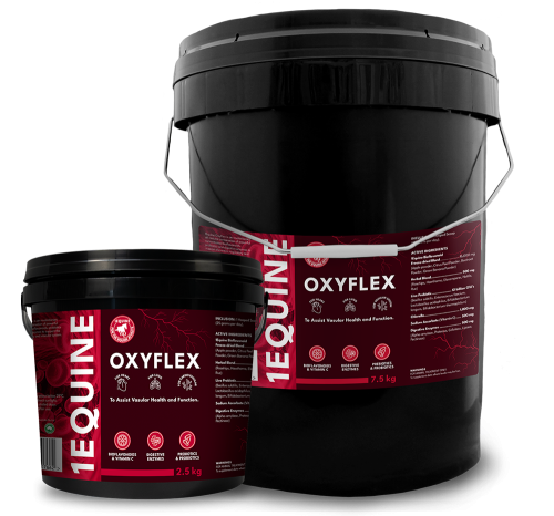 1Equine - OxyFlex