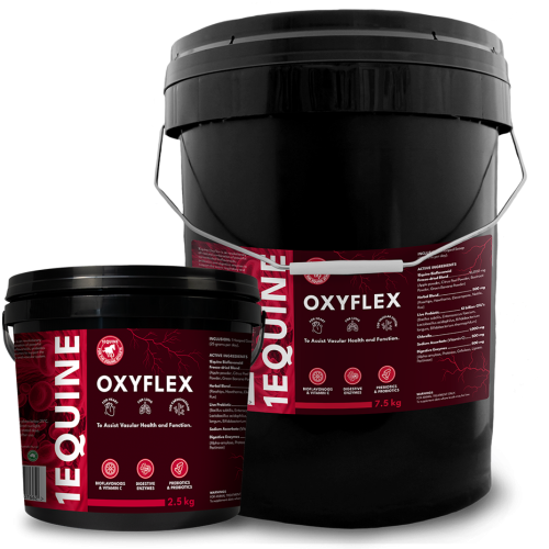 1Equine - OxyFlex