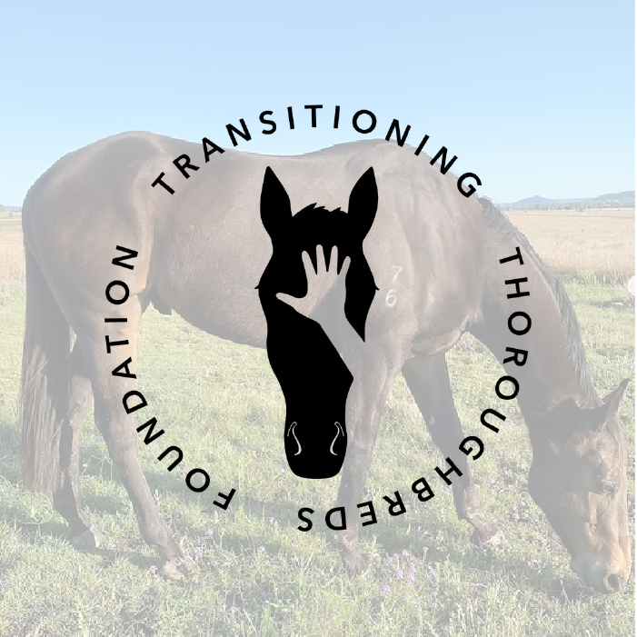 Transitioning Thoroughbreds Foundation